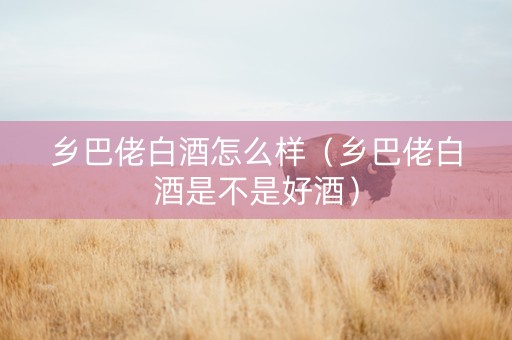 乡巴佬白酒怎么样（乡巴佬白酒是不是好酒）