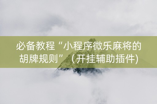 必备教程“小程序微乐麻将的胡牌规则”（开挂辅助插件)