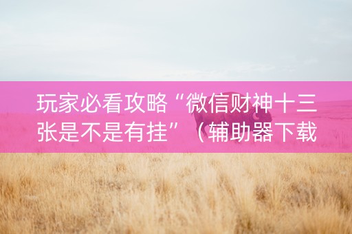 玩家必看攻略“微信财神十三张是不是有挂”（辅助器下载)