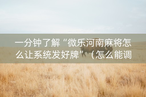 一分钟了解“微乐河南麻将怎么让系统发好牌”（怎么能调好牌)