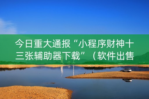 今日重大通报“小程序财神十三张辅助器下载”（软件出售)