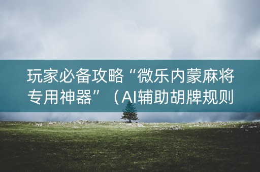 玩家必备攻略“微乐内蒙麻将专用神器”（AI辅助胡牌规则)