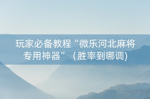 玩家必备教程“微乐河北麻将专用神器”（胜率到哪调)
