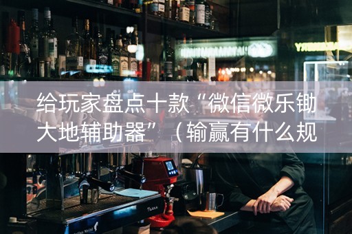 给玩家盘点十款“微信微乐锄大地辅助器”（输赢有什么规律)