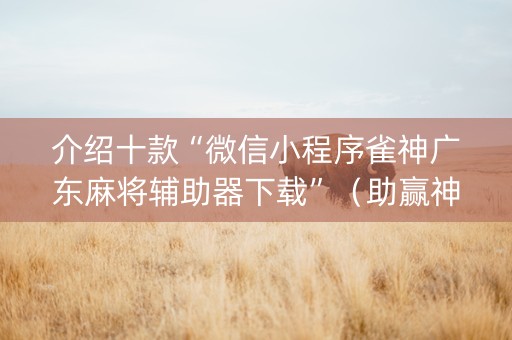 介绍十款“微信小程序雀神广东麻将辅助器下载”（助赢神器购买)