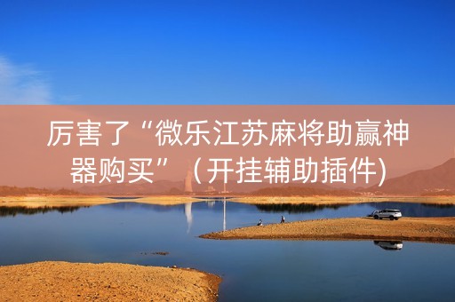 厉害了“微乐江苏麻将助赢神器购买”（开挂辅助插件)