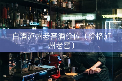 白酒泸州老窖酒价位（价格泸州老窖）