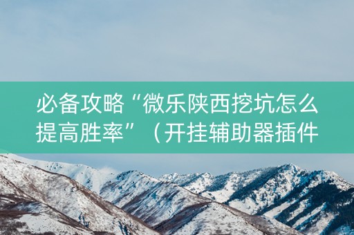 必备攻略“微乐陕西挖坑怎么提高胜率”（开挂辅助器插件)