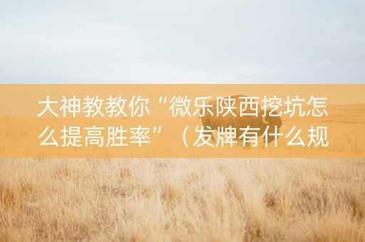 大神教教你“微乐陕西挖坑怎么提高胜率”（发牌有什么规律吗)