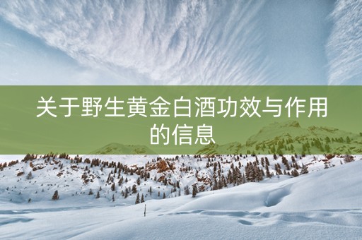 关于野生黄金白酒功效与作用的信息