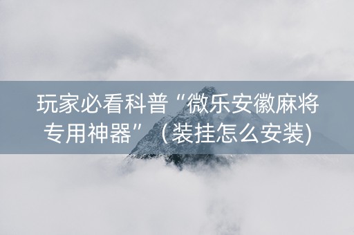 玩家必看科普“微乐安徽麻将专用神器”（装挂怎么安装)