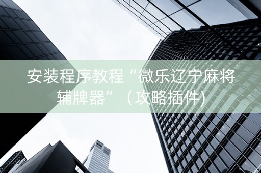 安装程序教程“微乐辽宁麻将辅牌器”（攻略插件)