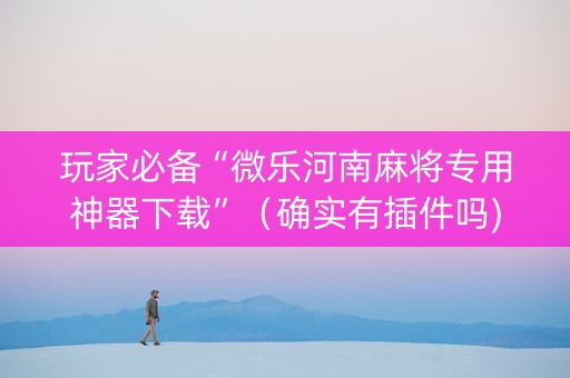 玩家必备“微乐河南麻将专用神器下载”（确实有插件吗)