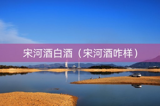 宋河酒白酒（宋河酒咋样）