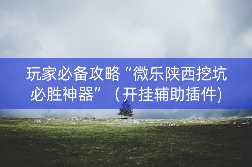 玩家必备攻略“微乐陕西挖坑必胜神器”（开挂辅助插件)