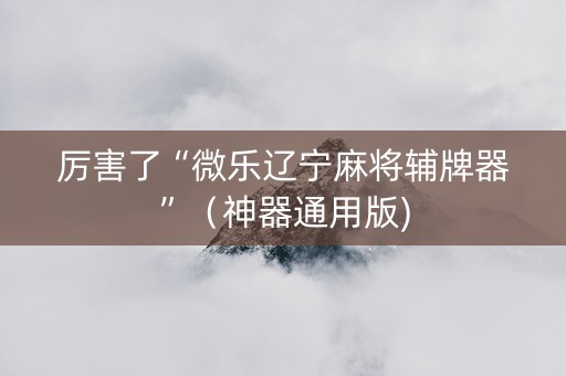 厉害了“微乐辽宁麻将辅牌器”（神器通用版)