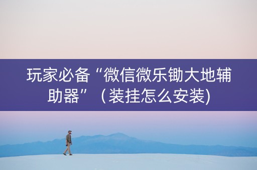 玩家必备“微信微乐锄大地辅助器”（装挂怎么安装)