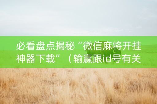 必看盘点揭秘“微信麻将开挂神器下载”（输赢跟id号有关系吗)