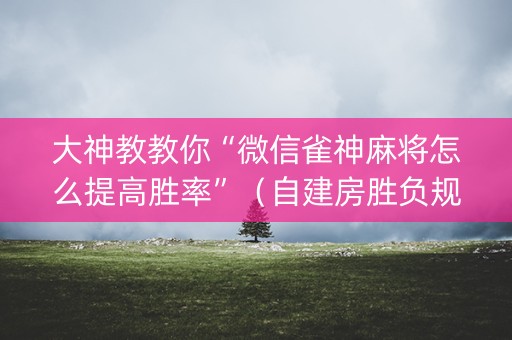 大神教教你“微信雀神麻将怎么提高胜率”（自建房胜负规律)