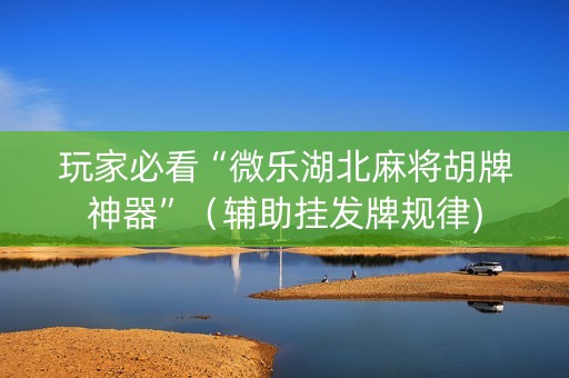 玩家必看“微乐湖北麻将胡牌神器”（辅助挂发牌规律)