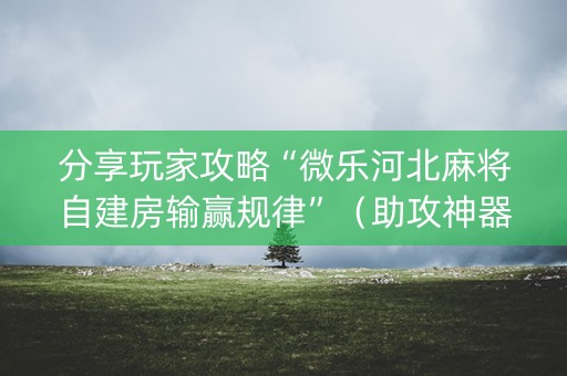 分享玩家攻略“微乐河北麻将自建房输赢规律”（助攻神器)