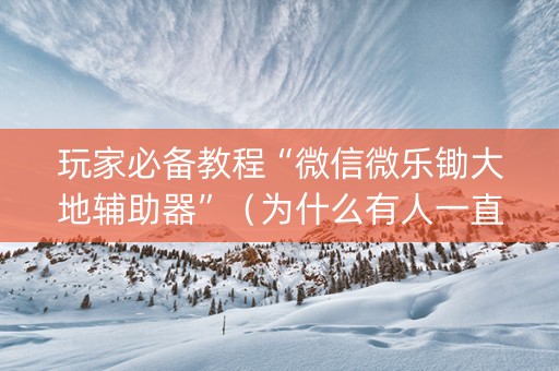 玩家必备教程“微信微乐锄大地辅助器”（为什么有人一直赢)