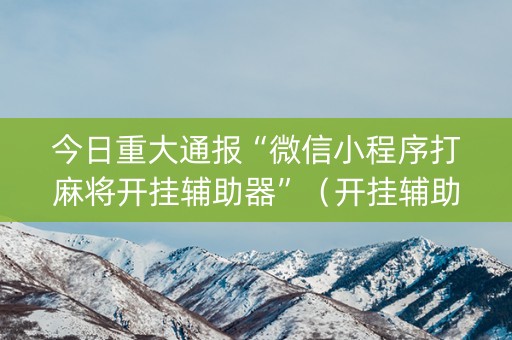 今日重大通报“微信小程序打麻将开挂辅助器”（开挂辅助脚本)