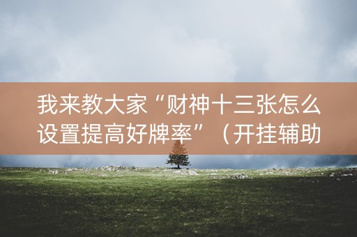 我来教大家“财神十三张怎么设置提高好牌率”（开挂辅助器插件)