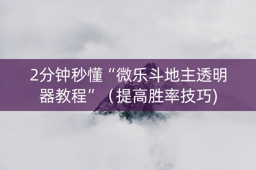 2分钟秒懂“微乐斗地主透明器教程”（提高胜率技巧)