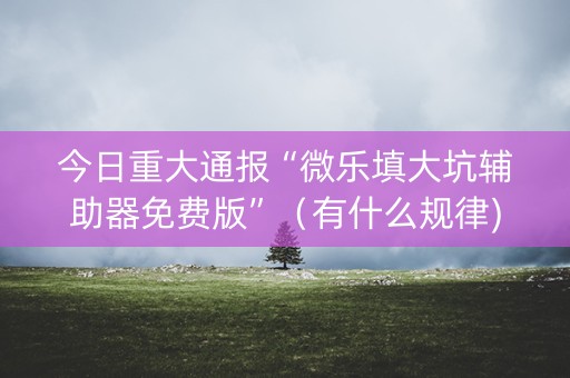 今日重大通报“微乐填大坑辅助器免费版”（有什么规律)
