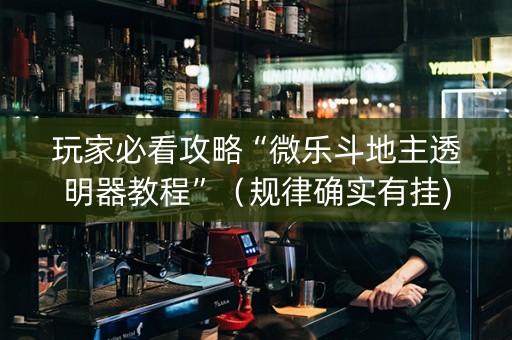 玩家必看攻略“微乐斗地主透明器教程”（规律确实有挂)