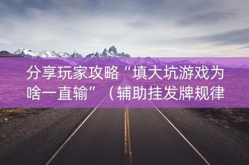 分享玩家攻略“填大坑游戏为啥一直输”（辅助挂发牌规律)