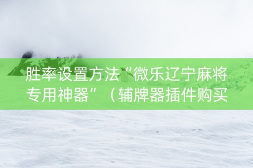 胜率设置方法“微乐辽宁麻将专用神器”（辅牌器插件购买)