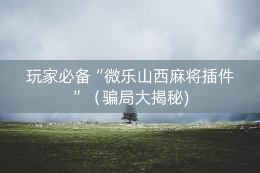 玩家必备“微乐山西麻将插件”（骗局大揭秘)