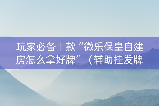 玩家必备十款“微乐保皇自建房怎么拿好牌”（辅助挂发牌规律)