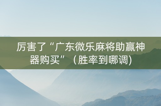 厉害了“广东微乐麻将助赢神器购买”（胜率到哪调)