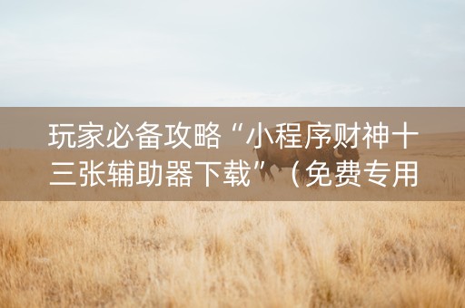 玩家必备攻略“小程序财神十三张辅助器下载”（免费专用神器)