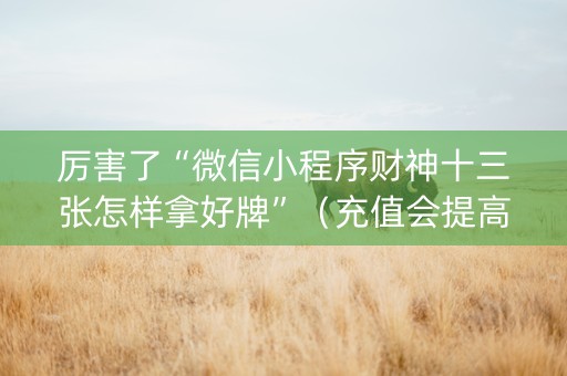 厉害了“微信小程序财神十三张怎样拿好牌”（充值会提高胜率么)