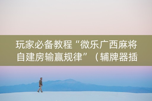 玩家必备教程“微乐广西麻将自建房输赢规律”（辅牌器插件购买)