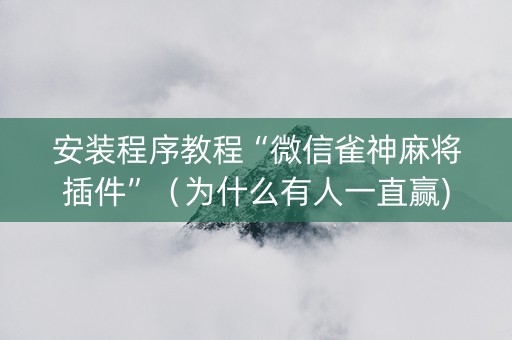 安装程序教程“微信雀神麻将插件”（为什么有人一直赢)