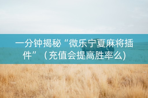 一分钟揭秘“微乐宁夏麻将插件”（充值会提高胜率么)