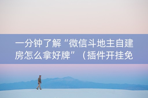 一分钟了解“微信斗地主自建房怎么拿好牌”（插件开挂免费AI)