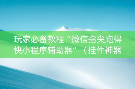 玩家必备教程“微信指尖跑得快小程序辅助器”（挂件神器)