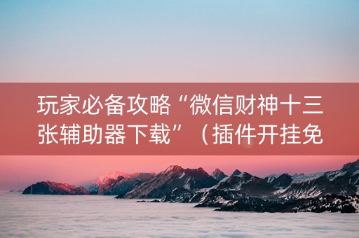 玩家必备攻略“微信财神十三张辅助器下载”（插件开挂免费AI)