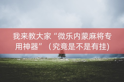 我来教大家“微乐内蒙麻将专用神器”（究竟是不是有挂)