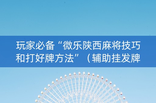 玩家必备“微乐陕西麻将技巧和打好牌方法”（辅助挂发牌规律)