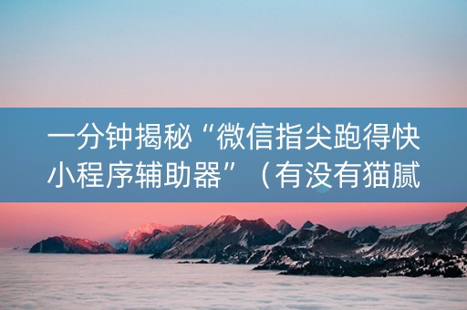 一分钟揭秘“微信指尖跑得快小程序辅助器”（有没有猫腻)