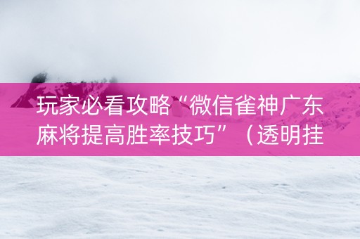 玩家必看攻略“微信雀神广东麻将提高胜率技巧”（透明挂辅助器)