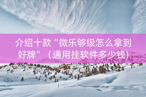介绍十款“微乐够级怎么拿到好牌”（通用挂软件多少钱)