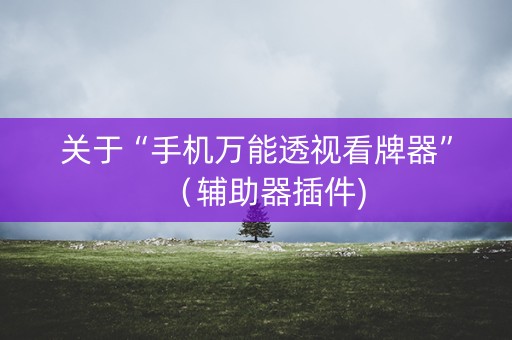 关于“手机万能透视看牌器”（辅助器插件)